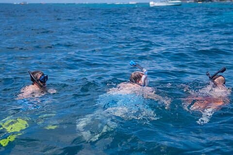 Snorkeling en arrecifes y aventura en parques ecológicos