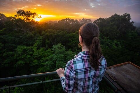 Iquitos: Pacaya Samiria National Reserve Amazon Tour | 3D/2N