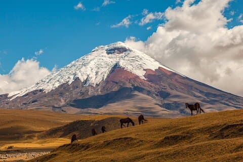 Le meilleur de l'Equateur Excursion de 7 jours de Quito à Cuenca