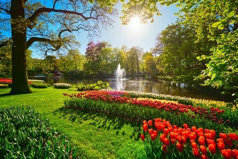 Privat blomster eventyr fra Amsterdam