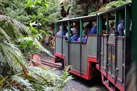Excursion d'une journée à Coromandel au départ d'Auckland