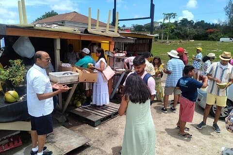 Group City Tour and Beach Experience from Cruise Port