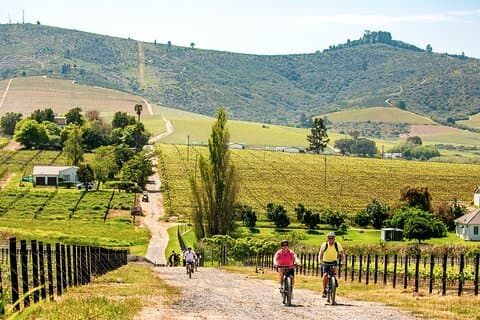 Stellenbosch Luxury Winelands EBike Tour ©