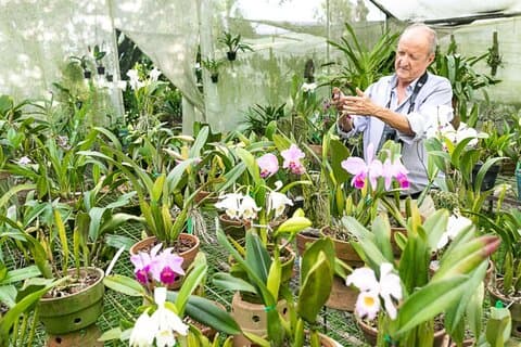 Finca la Romelia Orchidées et Oiseaux