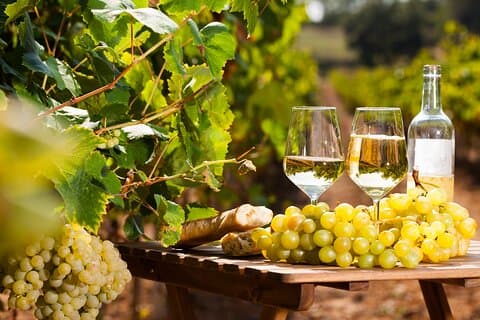 Excursión compartida de un día completo al mercado provenzal y cata de vinos desde Niza