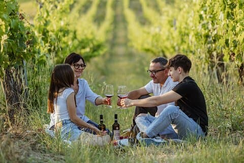 Montalcino: eksklusiv picnic i vingården med vinkurv