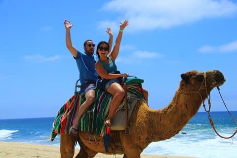 Arch Camel Ride and Glass Boat Tour
