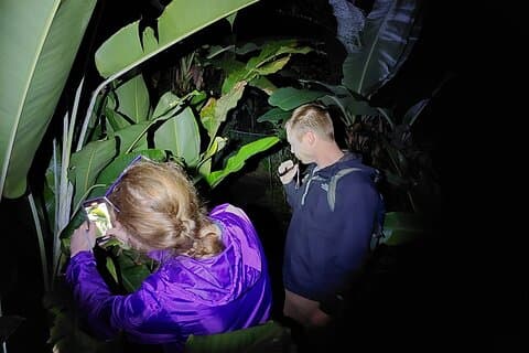 Forêt tropicale Expérience nocturne Grenouilles et serpents Quête