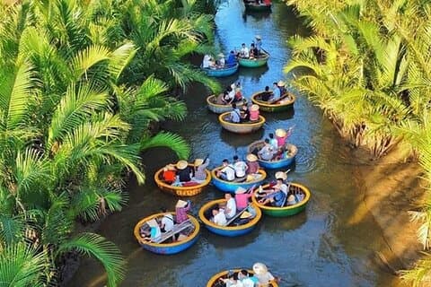 Cheap Coconut Forest Tour