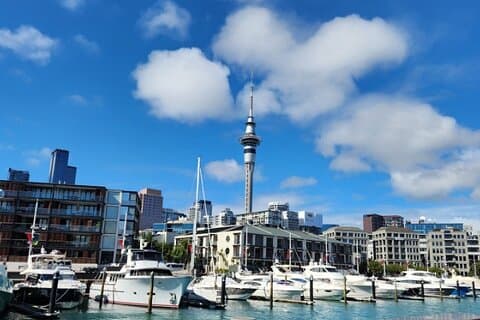 Auckland Highlights Fuld dag guidet tur