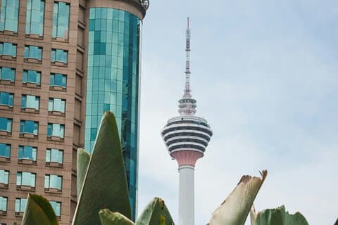 Halvdagstur i Kuala Lumpur med KL Tower Stop (Delt tur)