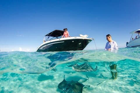 3 horas de charter privado em Stingray City com snorkeling