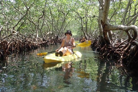 Mangrovenlagune Kajak-, Schnorchel- und Schwimmausflug