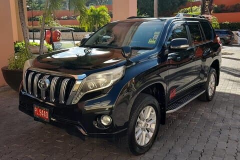 Transfert privé de l'aéroport: Hôtels Montego Bay Airport - Negril