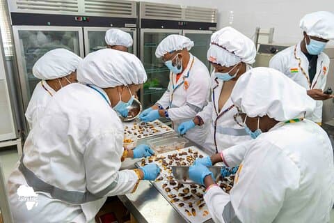 Ghana sjokolade smaksopplevelse
