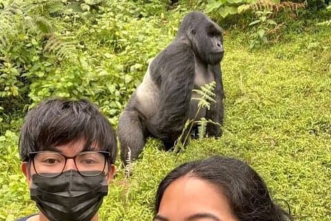 En dag med gorilla i Volcanoes nasjonalpark