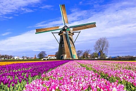 Keukenhof Tulips & Delft Day Trip from Brussels – Guided Tour