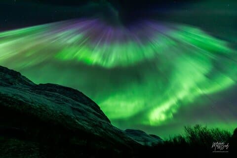 Northern Lights Guided Bus Tour with Free Photos