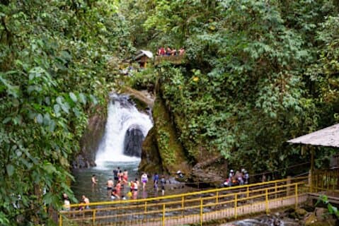 Mindo Cloud Forest privat rundtur Natur och djurlivsupplevelse