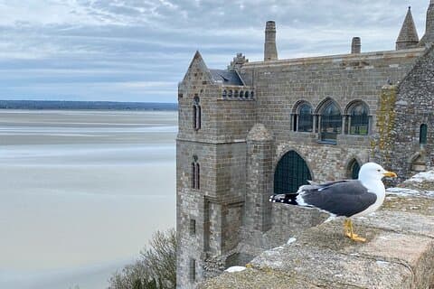 Live Guided Mont Saint-Michel D Day Viaggio privato in Mercedes