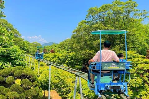 Nami Island med The Garden of Morning Calm togcykel fra Seoul