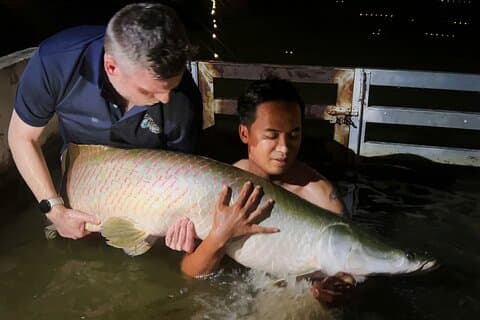 Gigantisk monsterfisketur i Ho Chi Minh-byen, Vietnam