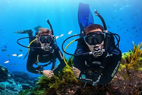 Nha Trang Scuba Diving Experience : Dos inmersiones con almuerzo