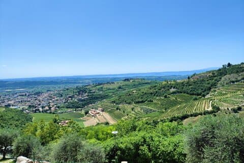 Een zondag van Amarone Een halve dag wijntour
