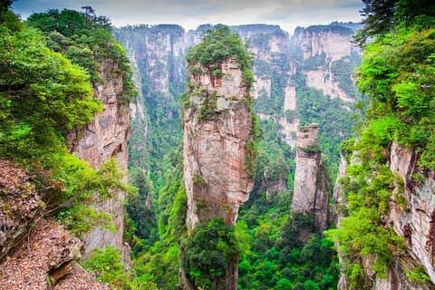 1 Day Avatar Mountain & Fores Park Group Tour with VIP Access