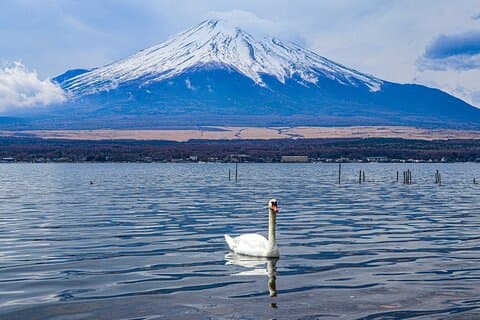 Monte Fuji Personalizza gita di un giorno privata con autista da Tokyo.