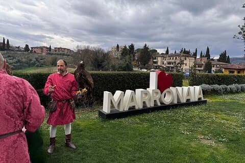 Wein und Falknerei in San Gimignano