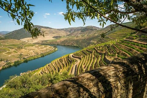 Douro Full Year