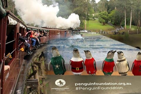 Melbourne : Privat Puffing Billy Train & Phillip Island Tours.