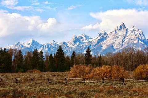 Yellowstone Full Day Tours