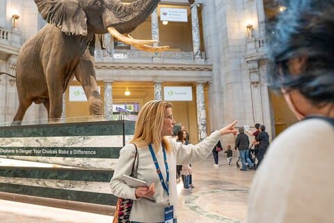 Smithsonian "Big 3" høydepunkter tur (luft og rom inngang inkludert)