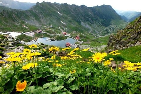 Vanuit Cluj Napoca : Wandeling van een hele dag in het Transfagarasan gebied