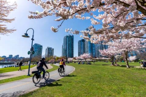 4 Hour E-bike Rental From Convenient Location on Seawall