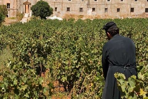 A Private Tour of Wine, Olive Oil Tasting, and Chania Exploration