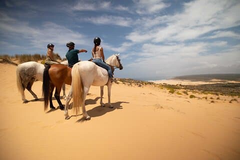 Agadir Camel or Horse Ride – Aventura no Deserto