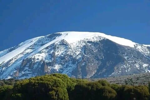 Excursão de dia inteiro por Kilimanjaro Famous Route