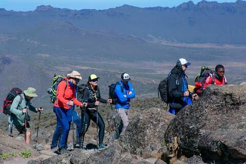 Visite de groupe de 8 jours au Kilimandjaro via la route Lemosho