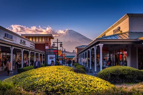 Desde Tokio : Mt Fuji, Ceremonia del Té y Tour al Outlet Gotemba