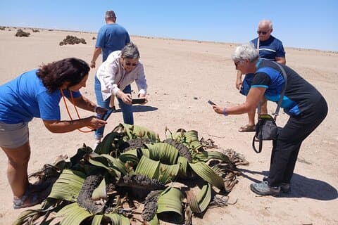Walvis Bay and Swakopmund Treasures: Namibia’s Coastal Highlights