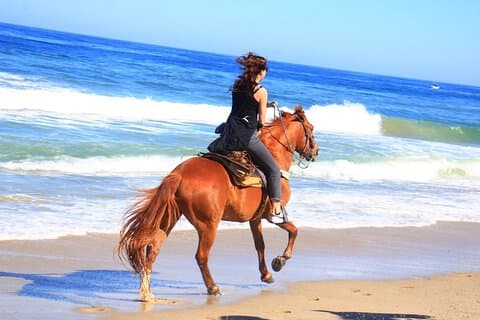 Reiten und Ausreiten in Punta Mita Nayarit