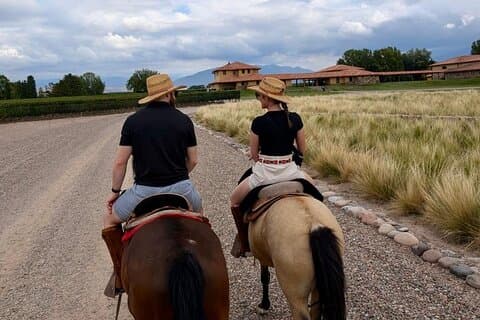 Balade à cheval à Mendoza à travers les vignes et dégustation
