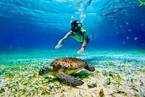 Snorkling og all-inclusive strandklubb i Costa Maya