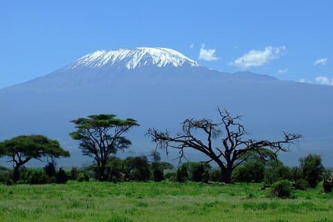 Amboseli Nationalpark und Masai Village Tagesausflug von Nairobi