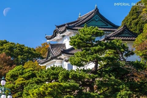 Anywhere you like! Tokyo Customized Tour in 3 hours