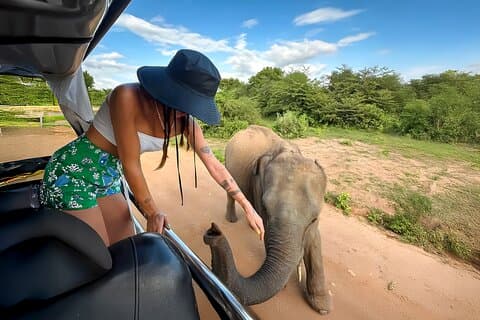 Best Yala Shared Leopard Safari: Tissamaharama Wildlife Tours