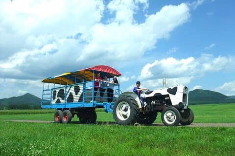 Hokkaido Watanabe Farm: Milking, Tractor & Butter Experience